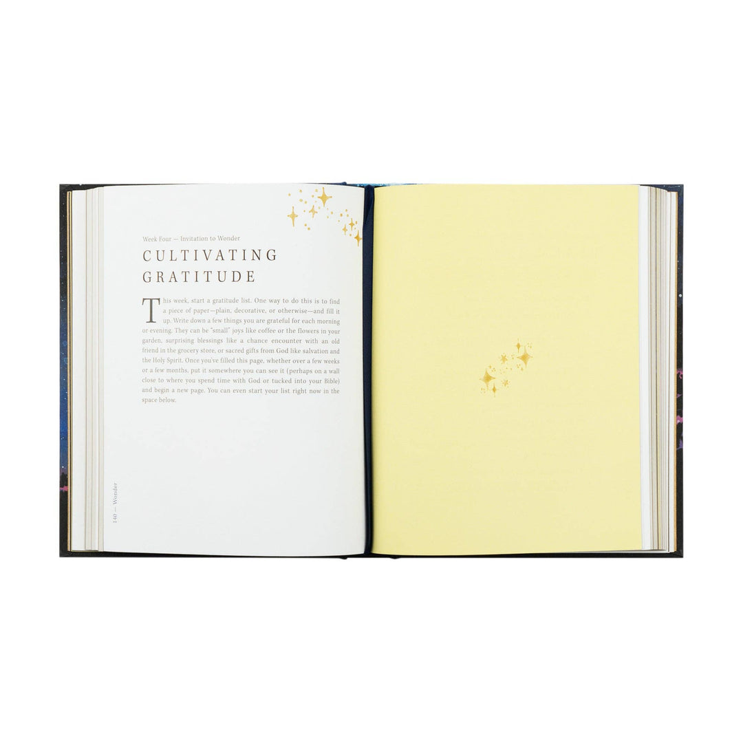 Wonder by Alicia Hamilton