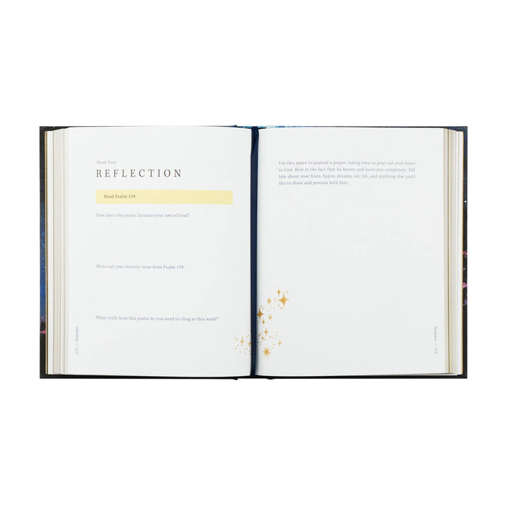 Wonder by Alicia Hamilton