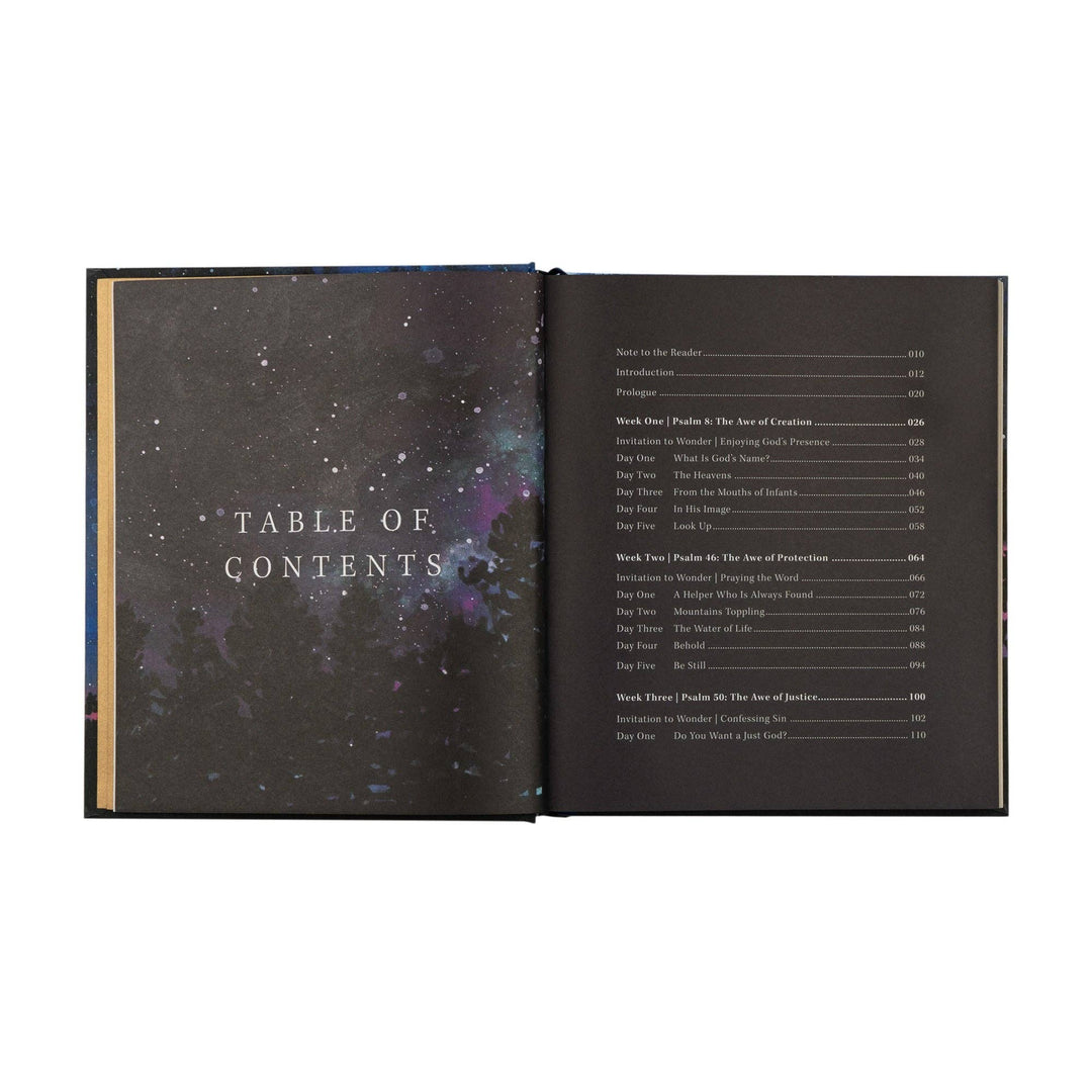 Wonder by Alicia Hamilton