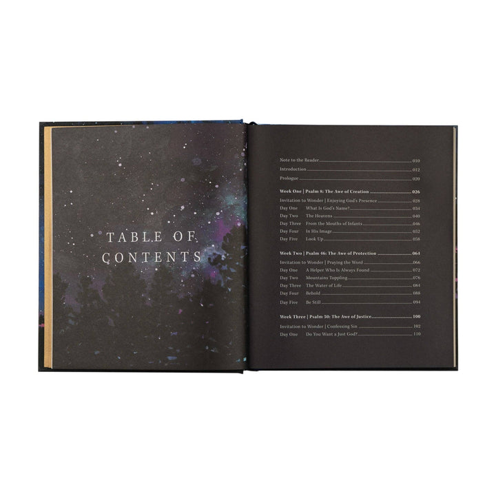 Wonder by Alicia Hamilton