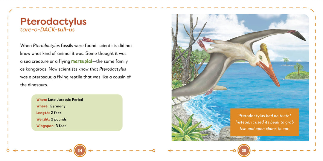My First Book of Dinosaurs