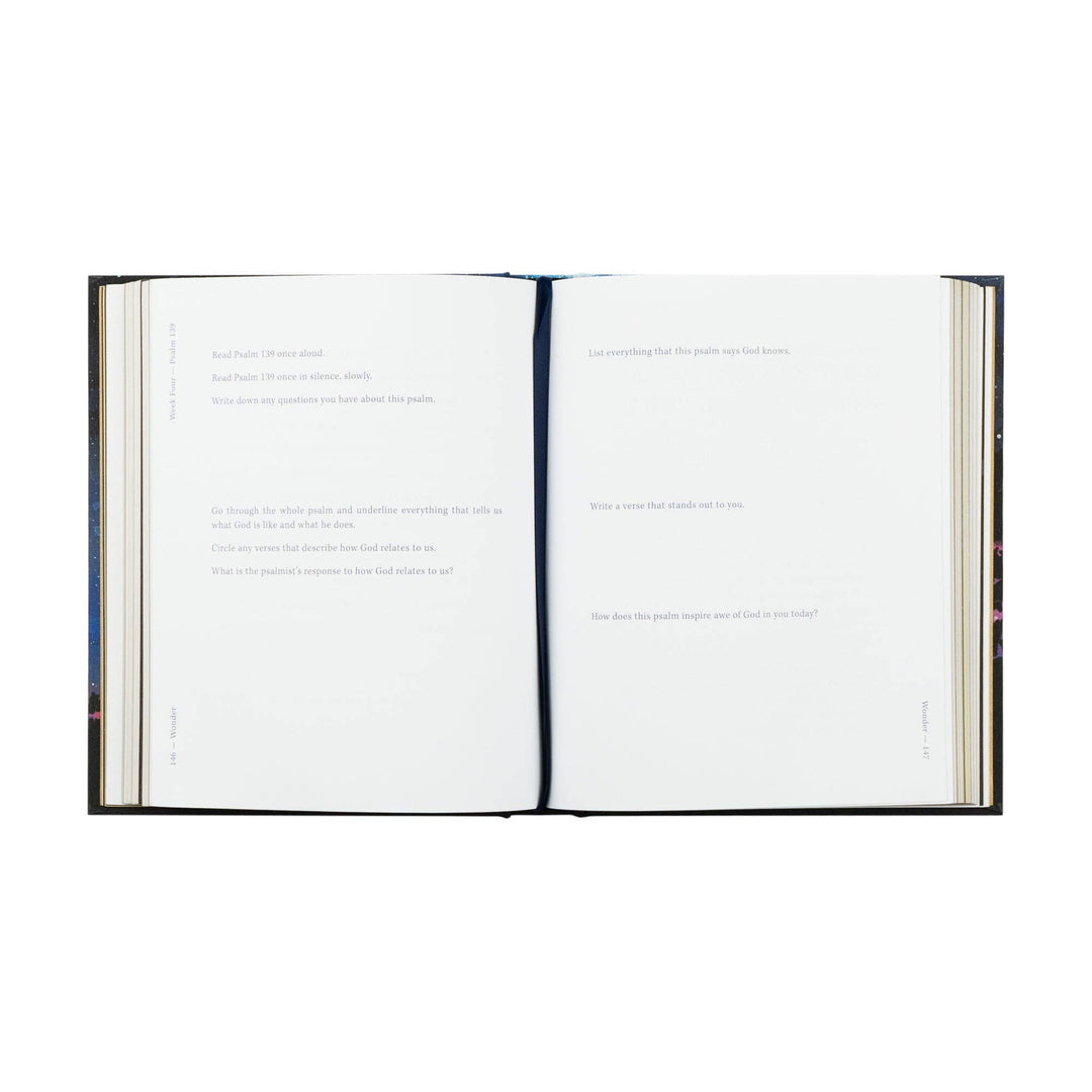 Wonder by Alicia Hamilton