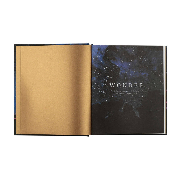 Wonder by Alicia Hamilton