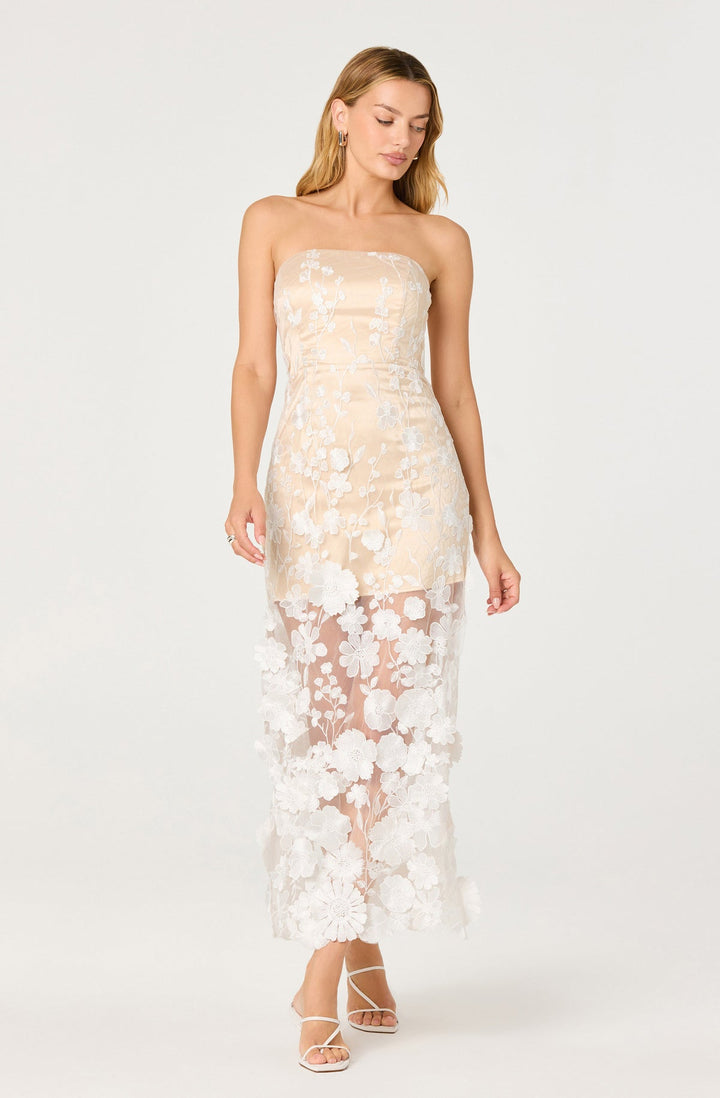 TANISHA DRESS
