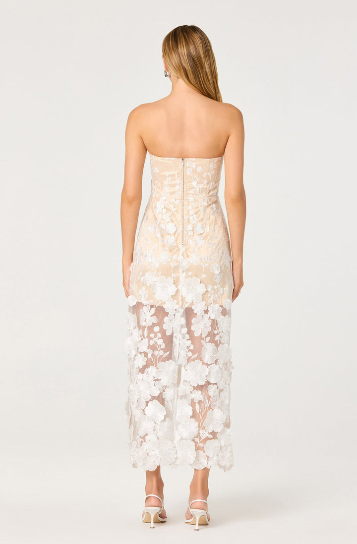 TANISHA DRESS