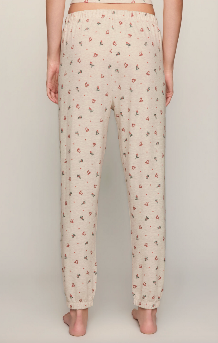 COZY HOLLY SET