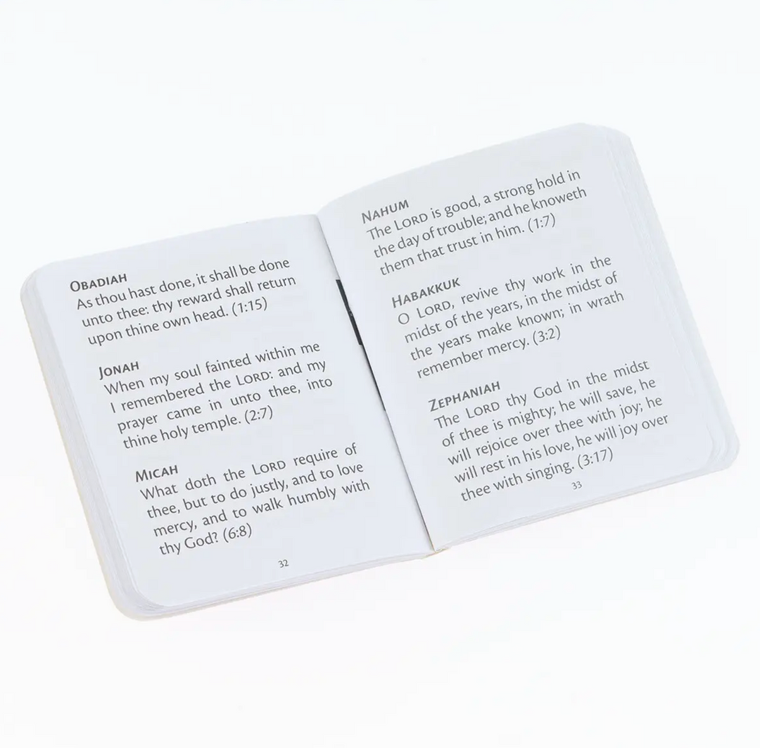 MY LITTLE BIBLE