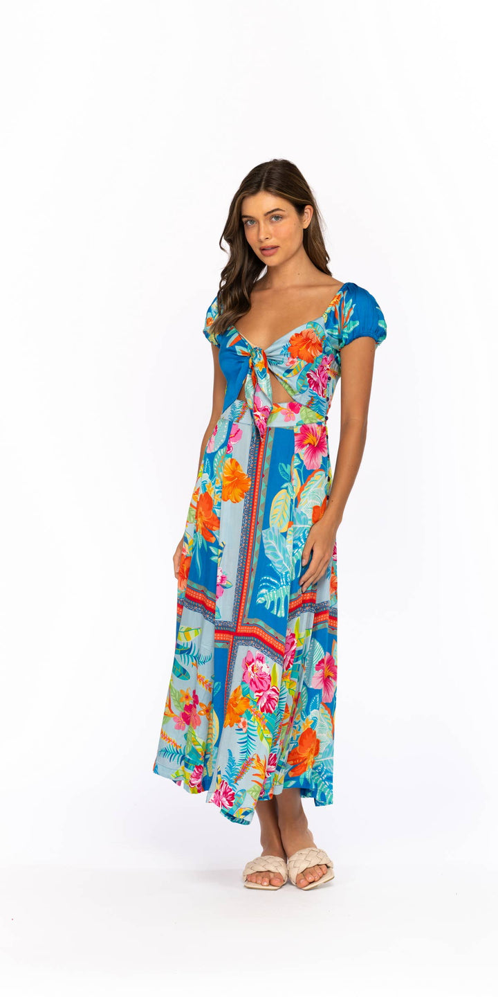 PALM REMY MAXI DRESS